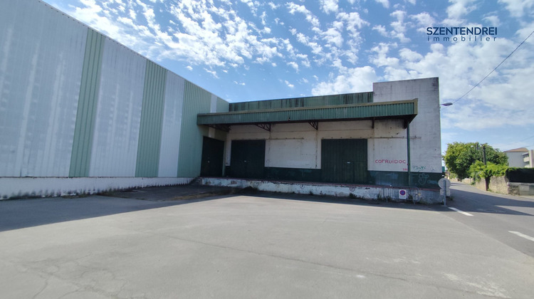 Ma-Cabane - Vente Local commercial Pont-Saint-Esprit, 5119 m²