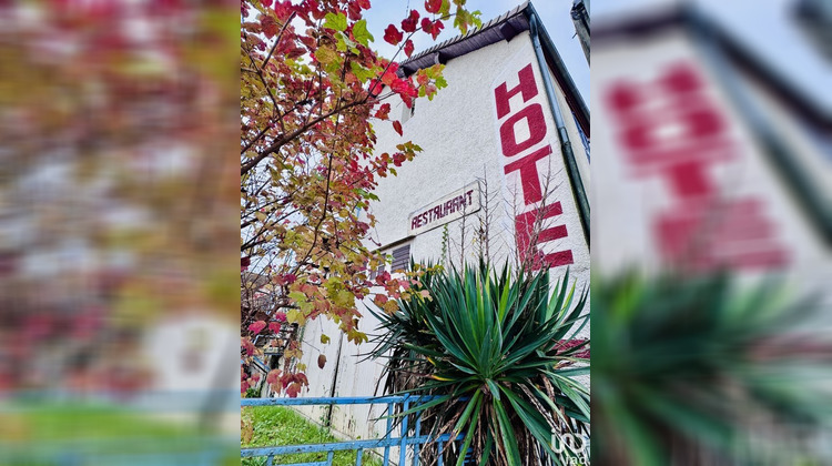 Ma-Cabane - Vente Local commercial Pont-sur-Yonne, 520 m²