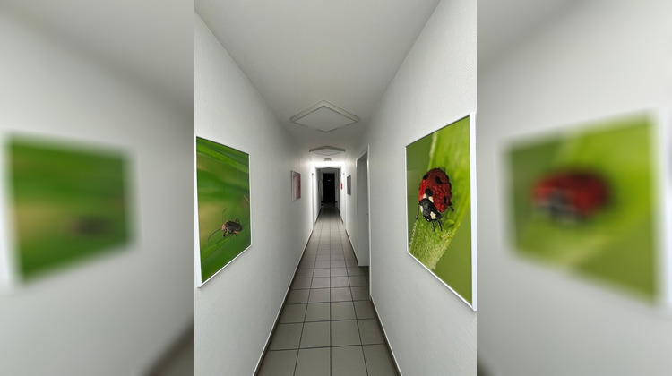 Ma-Cabane - Vente Local commercial POULX, 326 m²