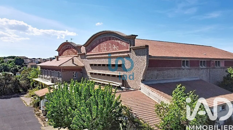 Ma-Cabane - Vente Local commercial Pouzolles, 1200 m²