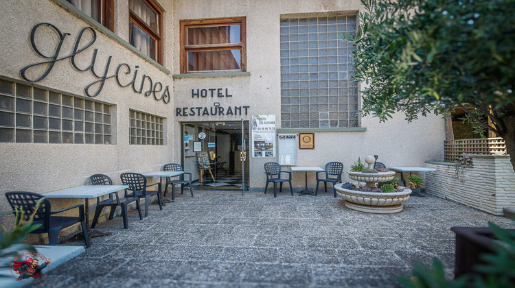 Ma-Cabane - Vente Local commercial Prades, 700 m²