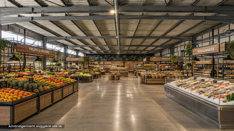 Ma-Cabane - Vente Local commercial PRUNELLI-DI-FIUMORBO, 840 m²