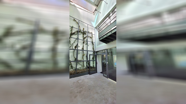 Ma-Cabane - Vente Local commercial Raon-l'Étape, 217 m²