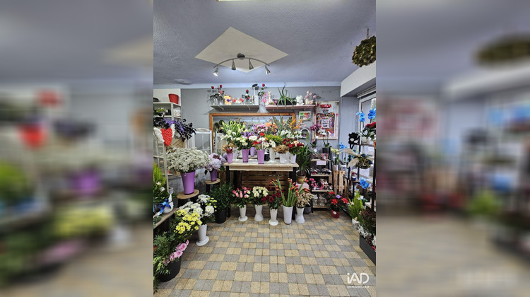 Ma-Cabane - Vente Local commercial Réhon, 45 m²