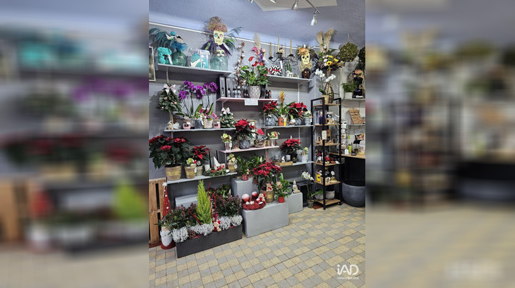 Ma-Cabane - Vente Local commercial Réhon, 45 m²