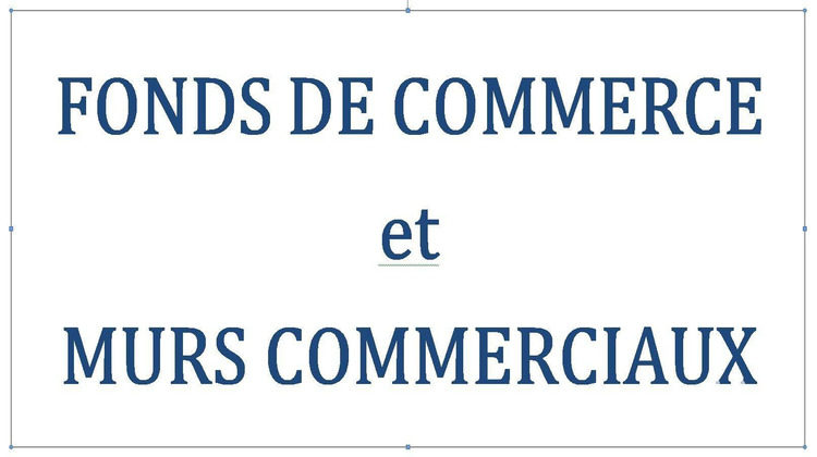 Ma-Cabane - Vente Local commercial Revel, 650 m²