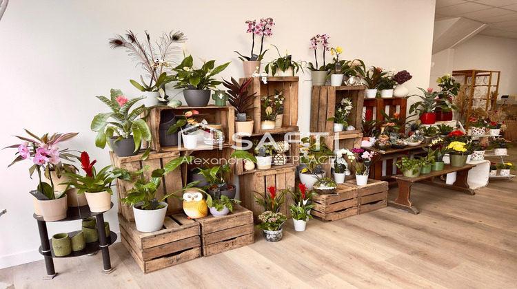 Ma-Cabane - Vente Local commercial Riaille, 80 m²