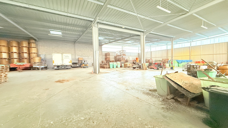 Ma-Cabane - Vente Local commercial Ribeauville, 1150 m²