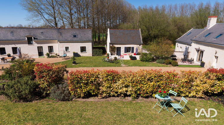 Ma-Cabane - Vente Local commercial Rigny-Ussé, 273 m²