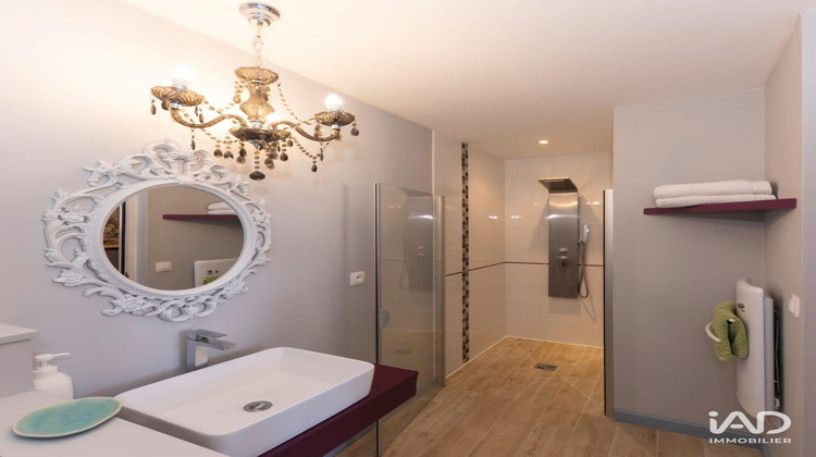 Ma-Cabane - Vente Local commercial Rigny-Ussé, 273 m²