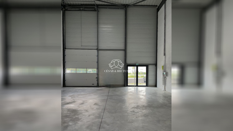 Ma-Cabane - Vente Local commercial Rillieux-la-Pape, 399 m²