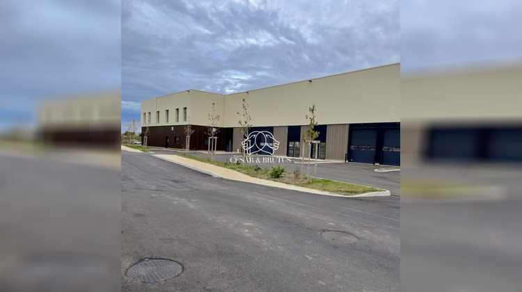 Ma-Cabane - Vente Local commercial Rillieux-la-Pape, 399 m²