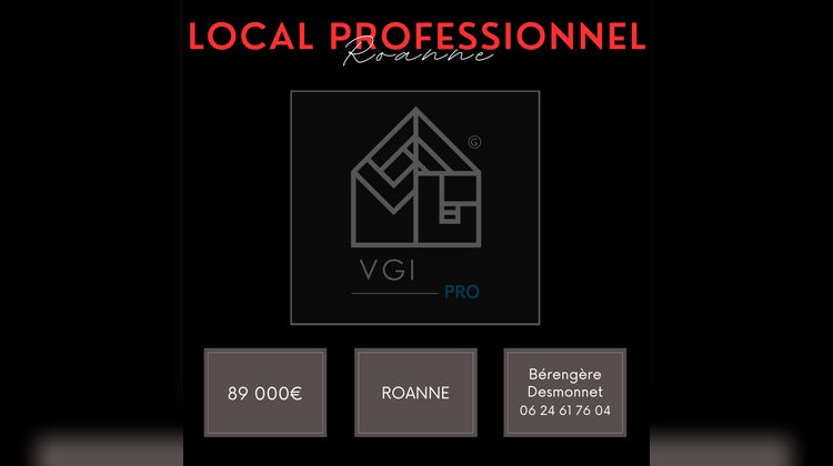 Ma-Cabane - Vente Local commercial Roanne, 600 m²