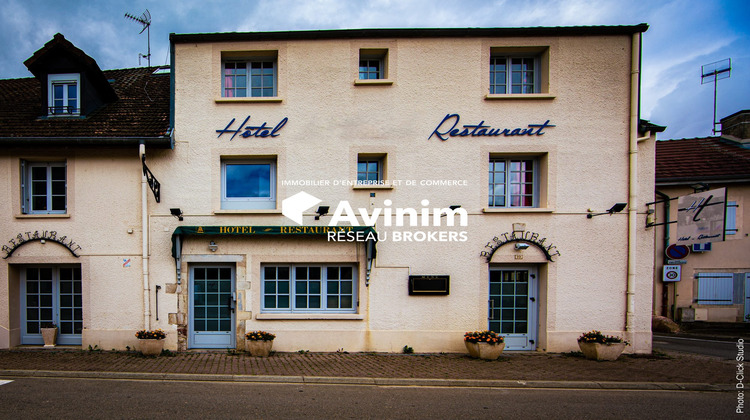 Ma-Cabane - Vente Local commercial Rochefort-sur-Nenon, 800 m²