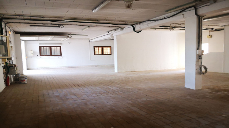 Ma-Cabane - Vente Local commercial ROQUEBRUNE-SUR-ARGENS, 1300 m²