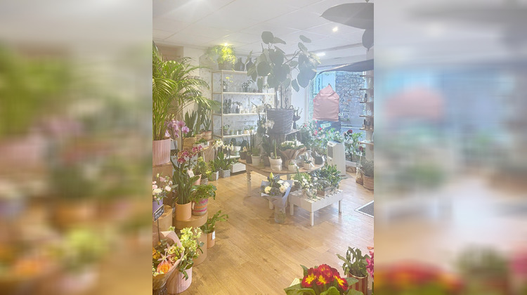 Ma-Cabane - Vente Local commercial Roscoff, 71 m²