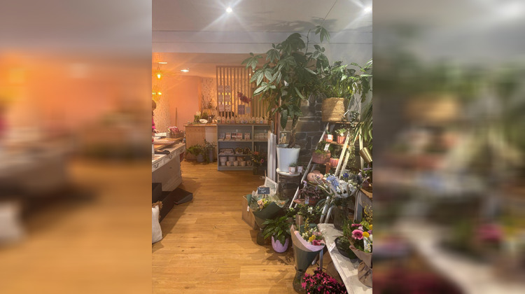 Ma-Cabane - Vente Local commercial Roscoff, 71 m²