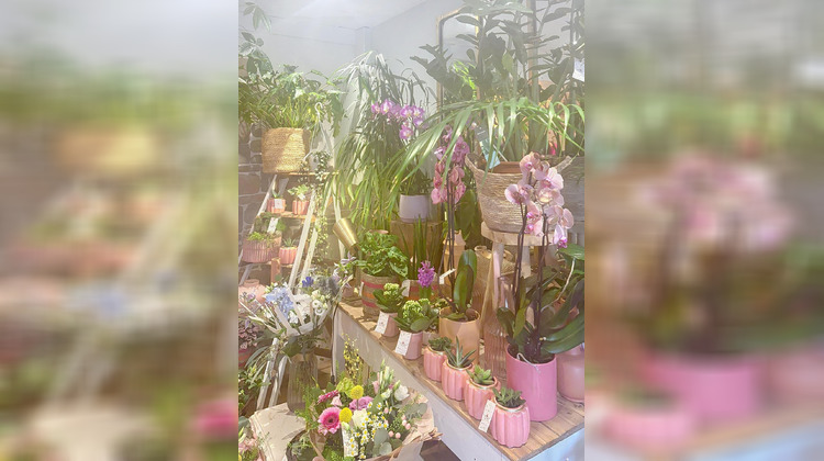 Ma-Cabane - Vente Local commercial Roscoff, 71 m²