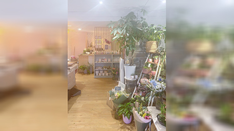 Ma-Cabane - Vente Local commercial Roscoff, 71 m²