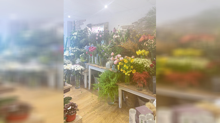 Ma-Cabane - Vente Local commercial Roscoff, 71 m²