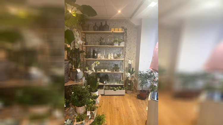 Ma-Cabane - Vente Local commercial Roscoff, 71 m²