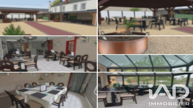 Ma-Cabane - Vente Local commercial Ruaudin, 460 m²