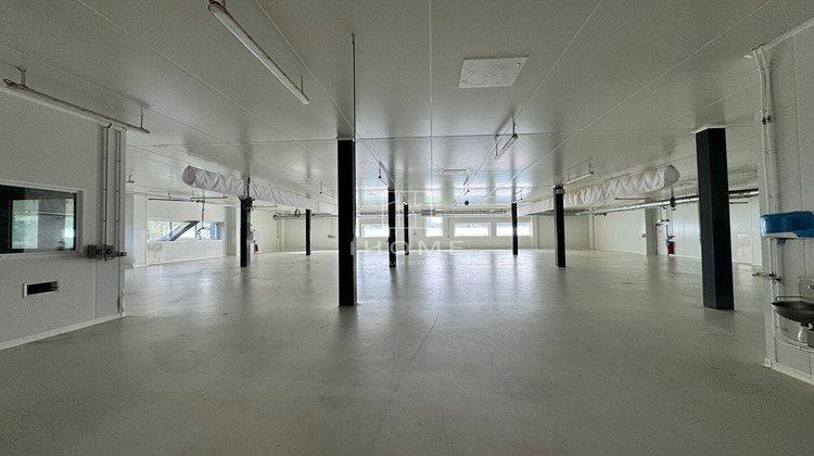 Ma-Cabane - Vente Local commercial Sables d'Olonne, 3600 m²