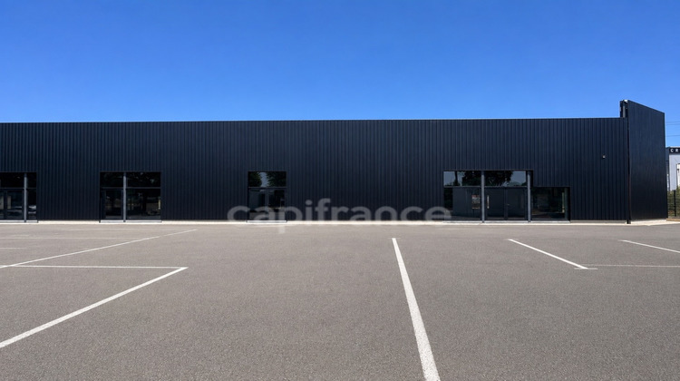 Ma-Cabane - Vente Local commercial SAINT ALBAN, 1374 m²