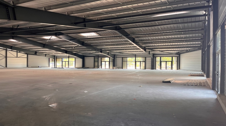 Ma-Cabane - Vente Local commercial SAINT ALBAN, 1374 m²