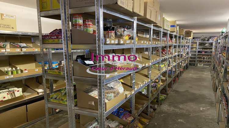 Ma-Cabane - Vente Local commercial SAINT ANDRE DE SANGONIS, 176 m²