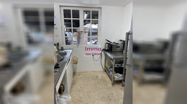 Ma-Cabane - Vente Local commercial SAINT ANDRE DE SANGONIS, 176 m²