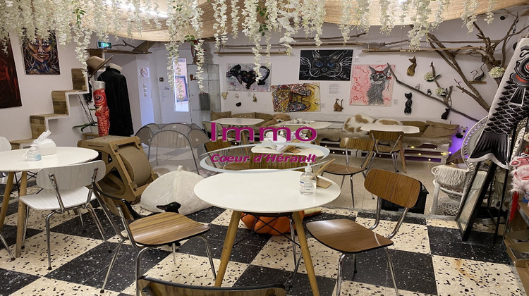 Ma-Cabane - Vente Local commercial SAINT ANDRE DE SANGONIS, 44 m²