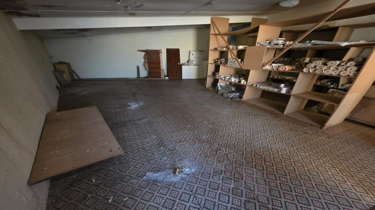 Ma-Cabane - Vente Local commercial SAINT AOUT, 250 m²