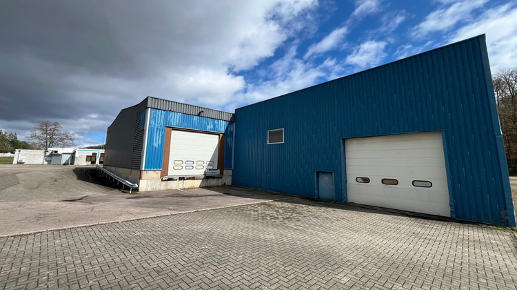 Ma-Cabane - Vente Local commercial Saint-Avold, 4500 m²