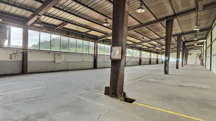 Ma-Cabane - Vente Local commercial Saint-Avold, 2680 m²