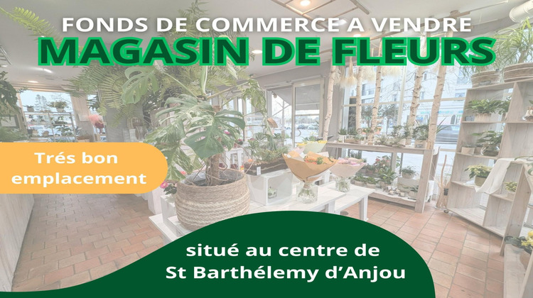 Ma-Cabane - Vente Local commercial Saint-Barthelemy-d'Anjou, 97 m²