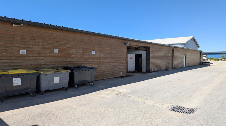 Ma-Cabane - Vente Local commercial SAINT-BRICE-COURCELLES, 1170 m²