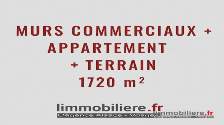 Ma-Cabane - Vente Local commercial Saint-Dié-des-Vosges, 439 m²