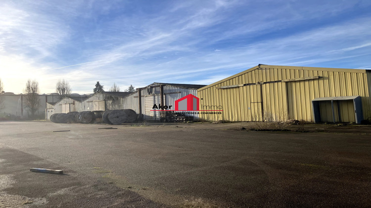 Ma-Cabane - Vente Local commercial Saint-Florentin, 2920 m²