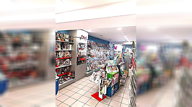 Ma-Cabane - Vente Local commercial Saint-Laurent-sur-Gorre, 187 m²