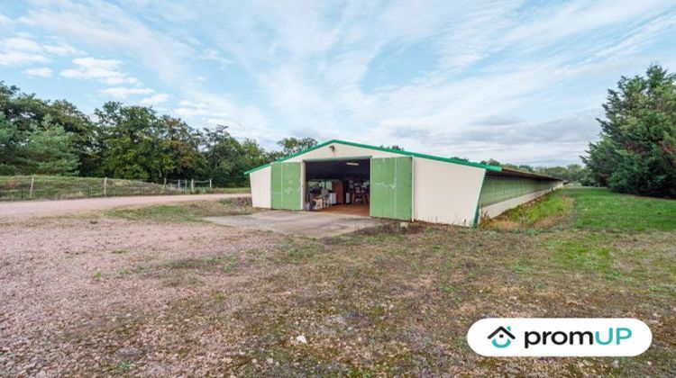 Ma-Cabane - Vente Local commercial Saint-Léger-sur-Roanne, 2500 m²