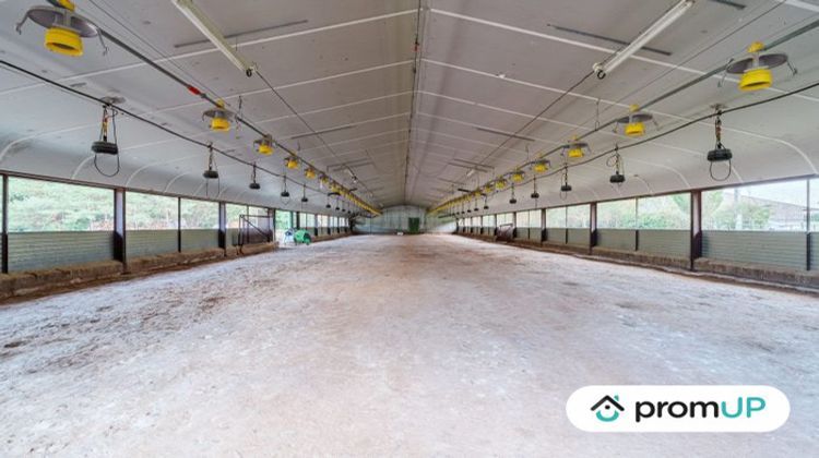 Ma-Cabane - Vente Local commercial Saint-Léger-sur-Roanne, 2500 m²