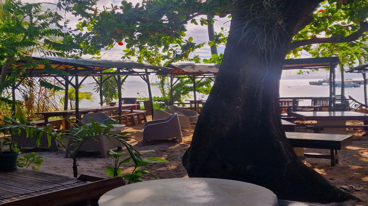 Ma-Cabane - Vente Local commercial SAINT-LOUIS, 206 m²