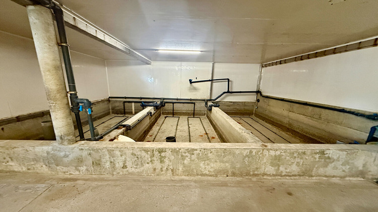 Ma-Cabane - Vente Local commercial SAINT-MALO, 450 m²