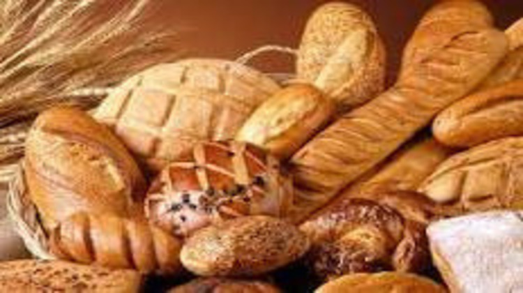 Ma-Cabane - Vente Local commercial Saint-Nazaire, 360 m²