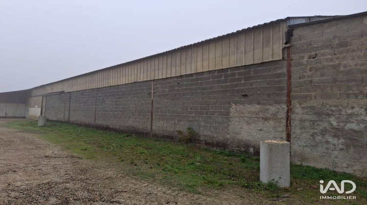 Ma-Cabane - Vente Local commercial Saint-Nicolas-de-la-Grave, 1250 m²