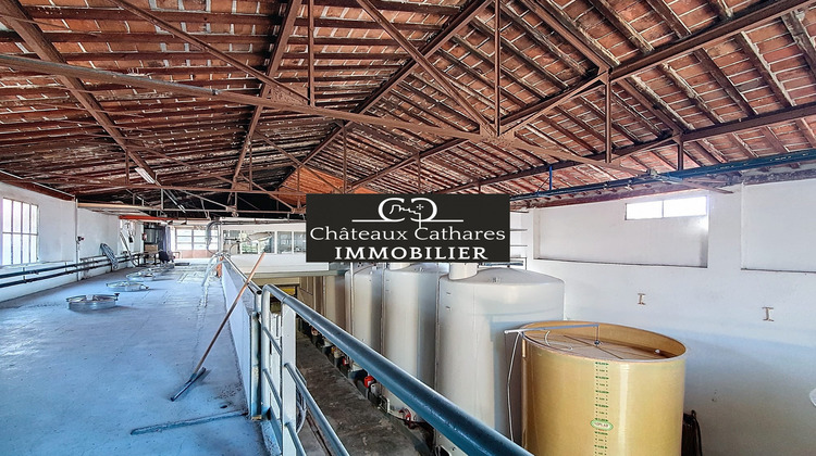 Ma-Cabane - Vente Local commercial Saint-Paul-de-Fenouillet, 730 m²