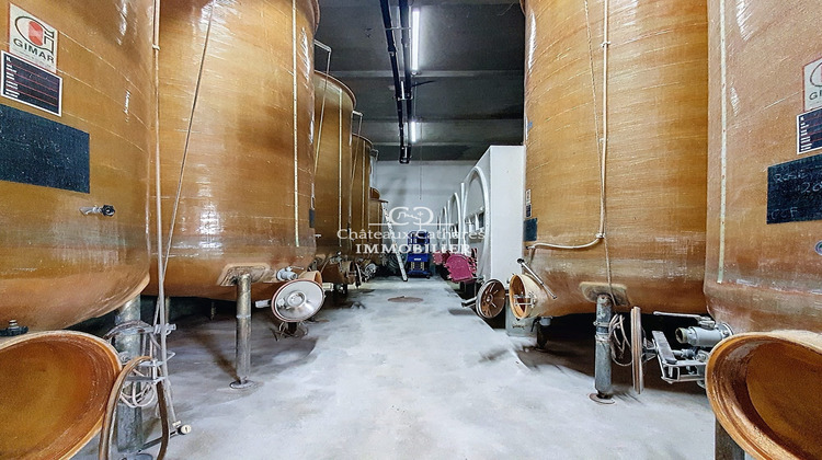 Ma-Cabane - Vente Local commercial Saint-Paul-de-Fenouillet, 730 m²