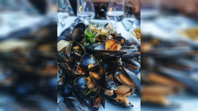 Ma-Cabane - Vente Local commercial Saint-Pierre-d'Oléron, 250 m²