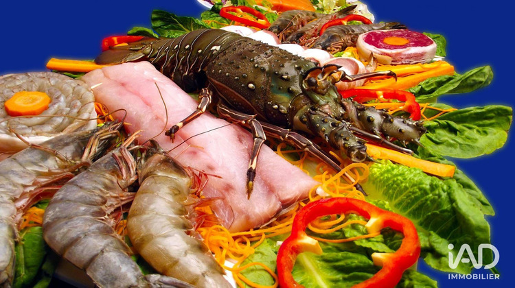 Ma-Cabane - Vente Local commercial Saint-Pierre-d'Oléron, 250 m²